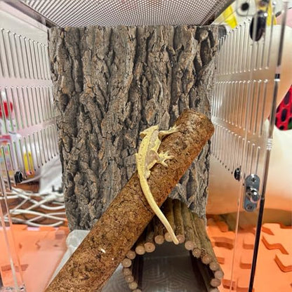 2PCS Natural Cork Terrarium Background,11.81 x 11.81 Inch Reptile Bark Background 3D Bearded Dragon Tank Climbing Mat Habitat Decoration for Lizard Gecko Chameleon Tortoise Snake Spider Frog - size: 【11.81 x 11.81 In】