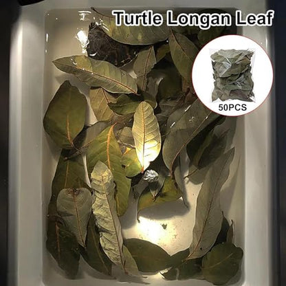 Longan Leaf Litter - Natural Pet Habitat Leaves Pack 50 Pieces, Soft Turtle Leaf Bedding Design | Clean Aquarium Foliage Cover for Frogs Fish Snakes Shrimp Lizards Tortoises Home Use