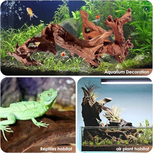 Jorewood Natural Large Aquarium Driftwood for Fish Tanks & Reptile Terrariums – Safe Fish Tank Decorations, Unique Twisted Branches 2-Piece 14-18 Inch Low Tannin, Easy to Sink - size: Large Mopani Driftwood 14 to 18 Inch (Pack of 2)