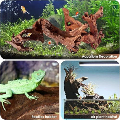 Jorewood Natural Large Aquarium Driftwood for Fish Tanks & Reptile Terrariums – Safe Fish Tank Decorations, Unique Twisted Branches 2-Piece 14-18 Inch Low Tannin, Easy to Sink - size: Large Mopani Driftwood 14 to 18 Inch (Pack of 2)