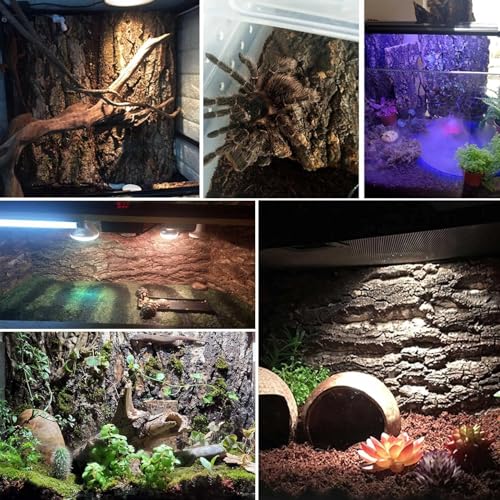 kathson 2PCS Thicker Cork Tile Background Bark 11.8 "L x 11.8" W x 1‘’ H Reptile Tank Terrarium Background Natural Reptile Climbing Mat for Spider Gecko Lizard Chameleon Bearded Dragon Snake - size: 11.8 "L x 11.8 " W x 1‘’ H