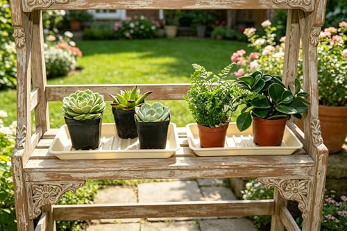 Plant Saucer Tray 6.5 x 13 Inch, Heavy Sturdy Long Narrow Plastic Plant Drainage Tray No Holes, Drip Tray for Pots, Seed Starter Growing Tray, Beige - color: Beige, size: 13" x 6.5" x 1.2" (6pack)