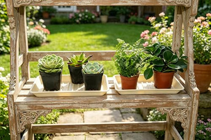 Plant Saucer Tray 6.5 x 13 Inch, Heavy Sturdy Long Narrow Plastic Plant Drainage Tray No Holes, Drip Tray for Pots, Seed Starter Growing Tray, Beige - color: Beige, size: 13" x 6.5" x 1.2" (6pack)