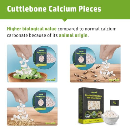 Crushed - 100% Natural Calcium Supplement - Premium Cuttlebone Perfect for Birds, Tortoises, Snails, Reptiles - 3.5 oz