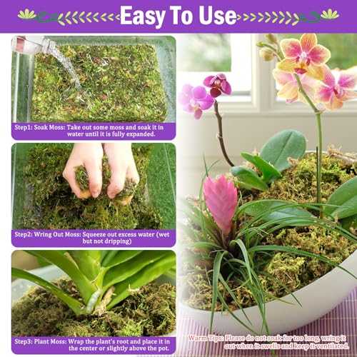 Riare 3.3LB Premium Sphagnum Moss for Plants- 60QT Natural Dried Plant Moss | Moisture Retention & Drainage Orchid Moss for Repotting, Succulents, Carnivorous, Ferns, Green Moss for DIY Craft, Reptiles - size: 60 QT(Appx.3.3lbs)
