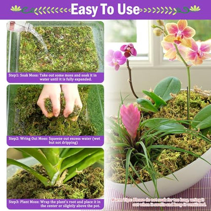 Riare 3.3LB Premium Sphagnum Moss for Plants- 60QT Natural Dried Plant Moss | Moisture Retention & Drainage Orchid Moss for Repotting, Succulents, Carnivorous, Ferns, Green Moss for DIY Craft, Reptiles - size: 60 QT(Appx.3.3lbs)