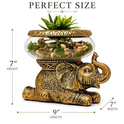 Good Luck Elephant Terrarium Bowl, Antique Gold | Elephant Figurine with Removable Glass Bowl, Succulent Planter, Candle Holder, Air Plant Display, Zen Home Décor Accent - color: Gold Antiqued Elephant Glass