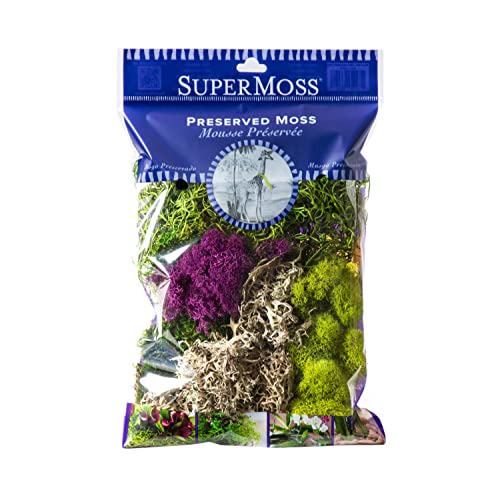 SuperMoss (23311) Elegant Decorative Mixed moss, MultiColor, 120 cu.in., white - color: White, size: 120 cubic inches (Approx. 4 oz)