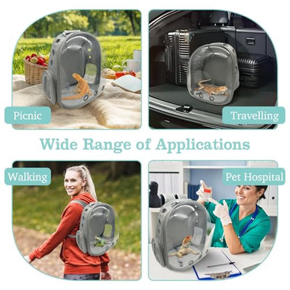 PINVNBY Bearded Dragon Carrier Backpack with Harness and Leash Set Large Reptile Travel Carrier Portable Lizard Backpack Clear Bubble Window Small Animal Carrying Bag for Gecko Kitten Rabbit (Gray) - color: Gray