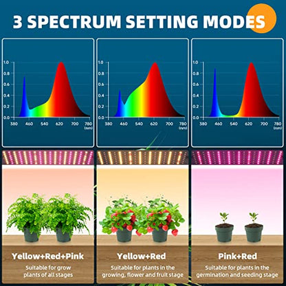 Barrina Grow Lights for Indoor Plants, 2 x 10W Ultra-Thin Grow Light Panel | Full Spectrum, with 3/6/12H Auto On/Off Timer for Hydroponics, Seedlings, Succulents, Vegetable, Flowers & More, 2 Packs - size: 2 Pack