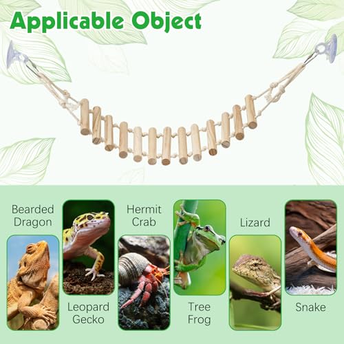 BNOSDM 2 Pcs Reptile Bridge Gecko Climbing Ladder Bearded Dragon Hammock with Suction Cup Wooden Basking Lounger Leopard Gecko Tank Accessories for Lizard, Hermit Crab, Frog, Snake - color: 2pcs-Solid wood