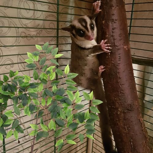 Hemoton Artificial Ficus Leaves for Reptile Terrarium Decoration 12-Inch Simulation Plant for Lizards Snakes and Crab Habitats
