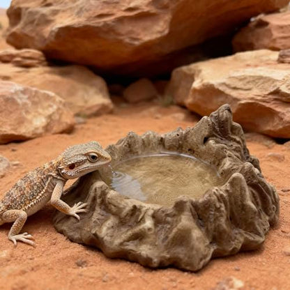 Heavy Concrete Reptile Water Dish - 100% Non-Tipping Volcano Rock Snake Water Bowl for Bearded Dragon, Tortoise, Leopard Gecko Tank Accessories