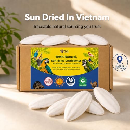 Birds LOVE 7.5-8" Cuttlebone for Birds – 100% Natural Sun-Dried Calcium Carbonate Mineral Supplement – for Parakeets, Budgies, Cockatiels, Finches & Canaries – 1 Pack with Holder – Made in Vietnam - size: 1 Count (Pack of 1)