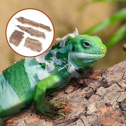 IMIKEYA 4Pcs Reptile Tree Bark Reptile Hides: Natural Wood Cork Bark Gecko Hide Small Climbing Barks Terrarium Decor Lizard Geckos Tortoise Birdcage Tank Accessories Water Tube Landscaping