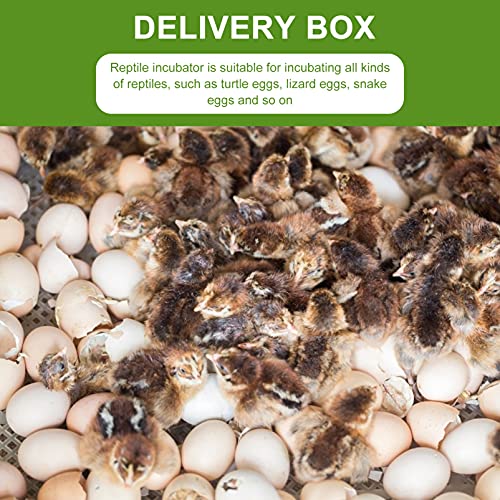 2Pcs Reptile Egg Incubator Tray with Lattice Design Lightweight and Portable Hatching Box for Lizards Snakes Tortoises Transparent Cover for Easy Observation