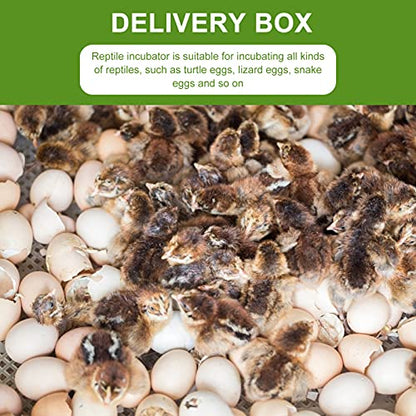 2Pcs Reptile Egg Incubator Tray with Lattice Design Lightweight and Portable Hatching Box for Lizards Snakes Tortoises Transparent Cover for Easy Observation
