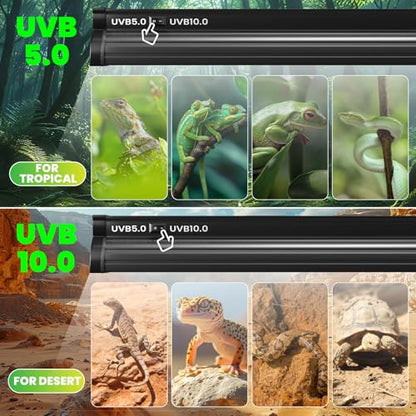 Dual-Mode 8W T5 UVB Light for Reptiles, Switchable 5.0/10.0 UVB Light for Tropical & Desert Reptiles, 12.4inTerrarium Hood Fixture for Bearded Dragon, Gecko, Tortoise, Snake