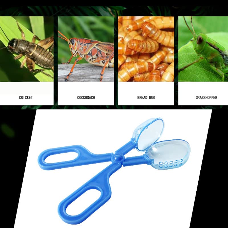 Ximimark 3 pcs Classic Aquarium Litter Blue Clear Reptile Poop Clamp Tool Kit New