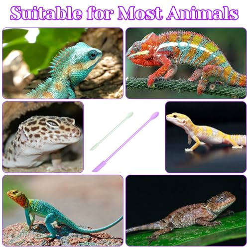 4 Pcs Reptile Feeding Tongs, Silicone Crested Gecko Food Spoon Set, Long Handle Reptile Spoon & Spatula for Lizard Gargoyle Bearded Dragon, Dual Size Purple Green Mixing Stirring Tool for Powder Fruit
