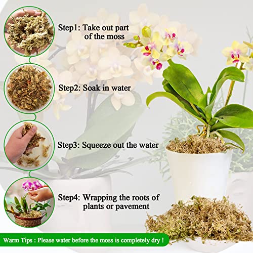 1.3LB Sphagnum Moss for Plants- 25QT Natural Long Fibers Orchid Moss | Moisture Retention & Drainage Balance, Plant Moss for Orchids, Succulents, Carnivorous, Ferns, Reptile Bedding & Terrariums - size: 25 QT(1.3 lb)