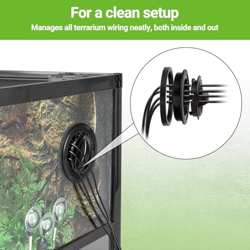 REPTI ZOO 67Gallon Reptile Large Terrarium 48" x 18" x 18" Upgrade Glass Front Opening Tank Sliding Door with Screen Ventilation Reptile Terrarium
