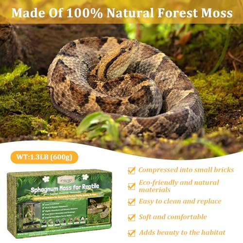 1.3LB Natural Sphagnum Moss for Reptile Terrarium Substrate Bedding | 24QT High Expansion, Moisture Retention, Helps Shedding, Long Fibers Dried Moss for Leopard Gecko, Snake, Frog, Turtle - size: 1.3LB