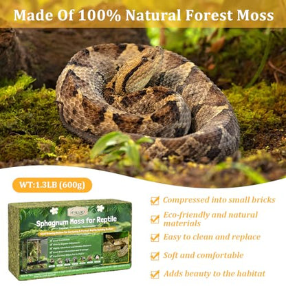 1.3LB Natural Sphagnum Moss for Reptile Terrarium Substrate Bedding | 24QT High Expansion, Moisture Retention, Helps Shedding, Long Fibers Dried Moss for Leopard Gecko, Snake, Frog, Turtle - size: 1.3LB