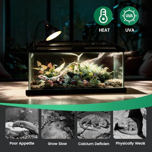 Reptile Heat Lamp Bulbs 100W (2-Pack) – Efficient Heating & Simulated Sunlight Basking Light for Amphibians, Bearded Dragon, Lizard, Turtle, Chicken – E26 Base - color: White, size: 100W