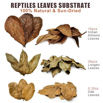 Dry Oak Leaf Litter for Reptiles,20Pcs Oak,30Pcs Longan & 10PCS Indian Almond Leaves,Leaf Litter Isopods Live Substrate Terrarium Bedding for Turtle,Snakes,Frogs,Isopod,Spider, Cricket