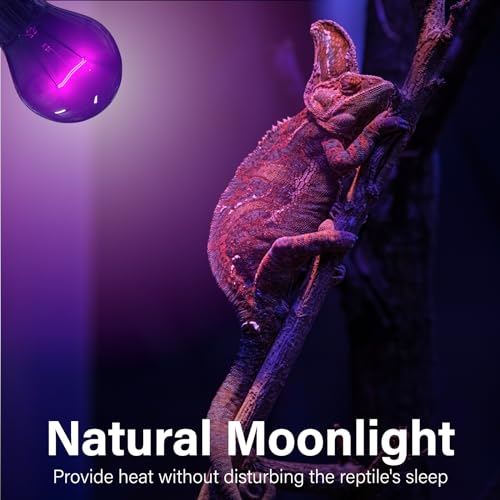 Reptile Heat Lamp Bulbs-100W Reptile Night Heat Bulb E26 Terrarium Heat Lamp Simulate Natural Moon Purple Light for Snake Bearded Dragon Leopard Gecko Lizard Chameleon Tortoise -2Pack