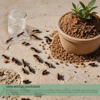 2pcs Mini Ant Water Feeder - Transparent Liquid Feeding Bowls for Ant Farms Small Reptiles Ideal Insect Drinking Tools
