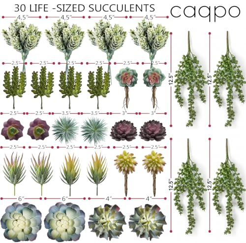 caqpo Premium Fake Succulents: Artificial Succulent Plants Decor - 30 Pack - size: 30Pack
