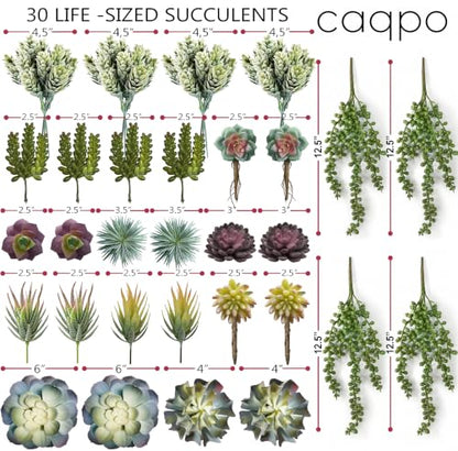caqpo Premium Fake Succulents: Artificial Succulent Plants Decor - 30 Pack - size: 30Pack