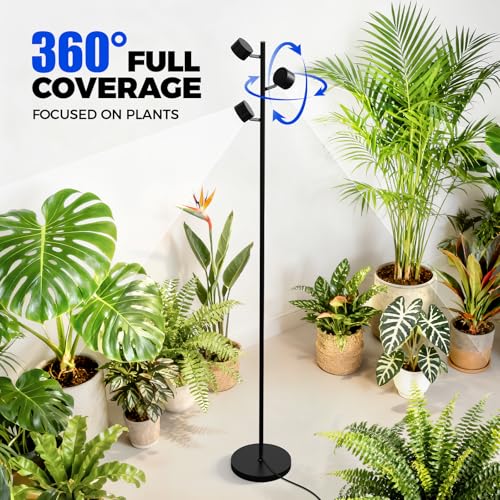 Barrina T1X3 Standing Grow Lights for Indoor Plant, 6FT 30W 5000K High PPFD | Vertical Plant Lights for Growing, Tall Plant, Adjustable 3 Heads, 6 Foot with Foot Switch, Full Spectrum, Heat Dissipation - size: 30W-6FT-3 Heads
