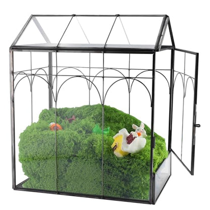 Geometric Plant Terrarium with Lid (Black with Side Door) | House Succulent Terrarium Kit for Succulents Cacti Snail, Home Tabletop Miniature Terrarium - color: Black with side door