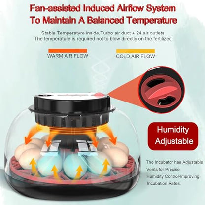 12 Egg Incubator with Auto Turner, Built-in Candler & Humidity Display | Suitable for Hatching Chicken Duck Quail Bird - size: 12 Egg
