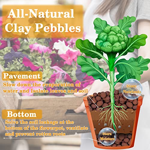 7LB Leca Clay Pebbles for Plants, 4mm-16mm Clay Balls for Hydroponic | Drainage, Reusable, Aeration, Moisture Retention, Lightweight, Natural Leca for Orchids, Succulents, Terrariums, Aquaponics - size: 7LB