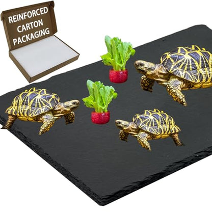 Extra Large 15.7 × 11.8" Reptile Basking Platform, Reptile Slate, Basking Rock, Slate Tiles Rocks for Reptiles,Terrarium Bowls for Bearded Dragon Tortoise Turtle Ball Python Snake Lizard Gecko - size: 15.7 × 11.8 IN