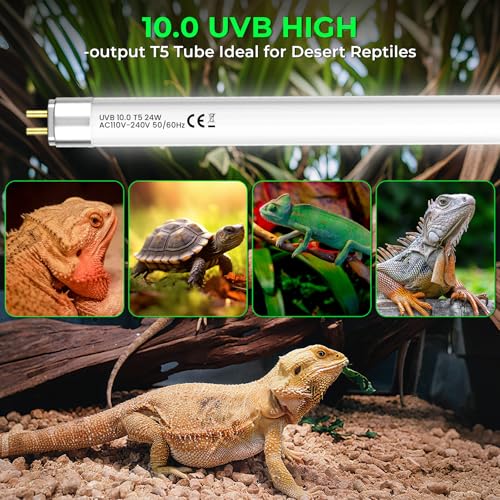 GlowUp 22 Inch T5 HO 10.0 24W Bearded Dragon UVB Light Bulb, UVA UVB Reptiles Light Bar Tube Lamp, UVB Reptile Light Bulb for Leopard Gecko Tortoise Chameleon Tropical Desert Reptile Terrarium -2Pack
