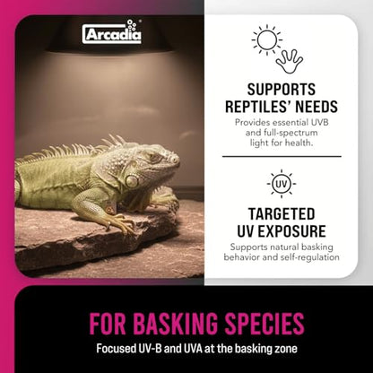 Arcadia D3 EVO UVB Basking Lamp 100W – Mercury Vapor Reptile Heat Lamp Bulbs for Bearded Dragons, Tortoises, Snakes and Turtle Tanks, UVA UVB Infrared Long Lasting Easy to Use Heat Bulb for Reptiles