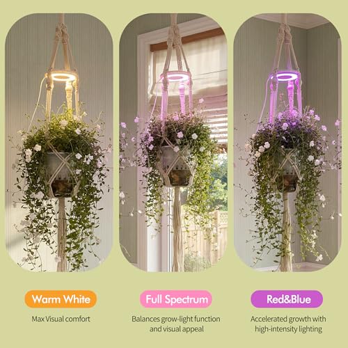 Hanging Plant Grow Lights for Indoor Plants with Timer | Wall Mounted Full Spectrum Pendant Growing Light with Macrame Plant Hanger, Ceiling LED Planta Luz for Potted Plants - size: 1 Pack