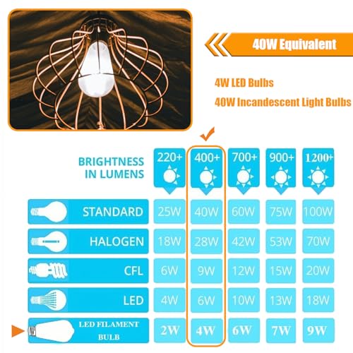 winsaLED 5000K Daylight LED Edison Bulbs 40W Equivalent, Non-Dim, 12 Pack | 4W ST19 LED Light bulb, E26 Standard Base, 90 CRI, 450LM - color: 5000k-daylight