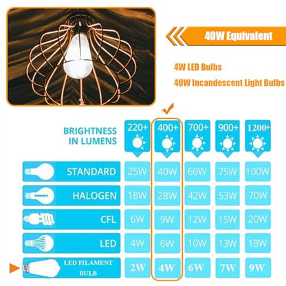 winsaLED 5000K Daylight LED Edison Bulbs 40W Equivalent, Non-Dim, 12 Pack | 4W ST19 LED Light bulb, E26 Standard Base, 90 CRI, 450LM - color: 5000k-daylight
