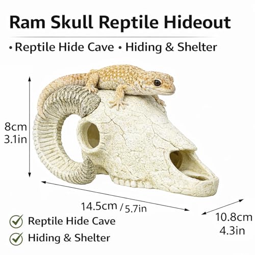 Reptile Hide Cave, Ram Skull Resin Shelter for Leopard Gecko, Lizard, Small Snake, Frog and Salamander, Terrarium Aquarium Fish Tank Decor for Small Reptiles and Amphibians