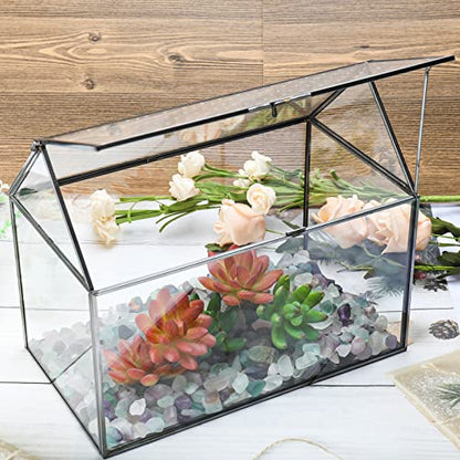 Geometric Glass Terrarium with Acrylic Lid, House Shape Black Terrarium with Breathing Holes for Snails, Succulent, Cacti, Air Plants, 10.3x8.3x5.9 inch (Terrarium Only)