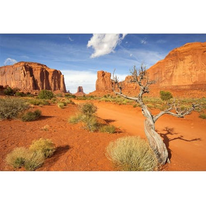Reptile Habitat Background Sandstone Rock Mountain Scenery Backdrop Desert Terrarium Aquarium Background Durable Polyester Vinyl 24x12in - color: Gobi Yellow, size: 24(W)x12(H)inches/ 60(W)*30cm(H)