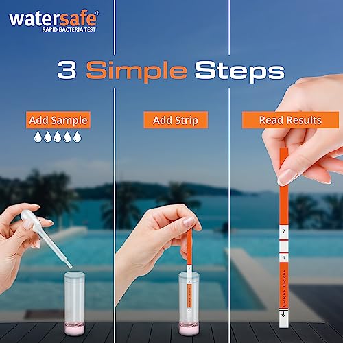 Pool and Spa Rapid Bacteria Test by Watersafe, Test Strips to Detect Down to 1 Bacteria/μL in 15 Minutes, Including E. coli and Salmonella, Single Test