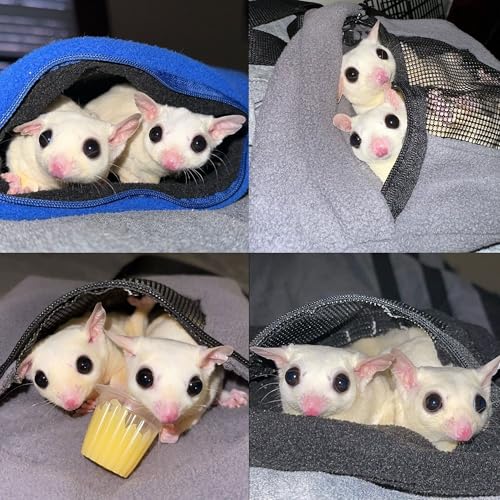 Exotic Nutrition Economy Carry Bonding Pouch (Grey) - for Sugar Gliders, Squirrels, Marmosets, Hamsters, Rodents, Rats, Reptiles, & Other Small Pets… - color: Grey