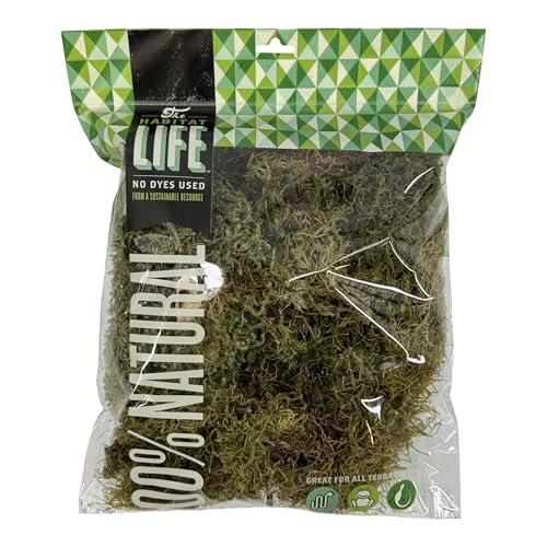 Deco Moss for Terrarium Habitats, Medium 1-Pack | Preserved Moss for Reptiles, Amphibians & Invertebrates Terrariums, Humidity Control, Soft, Dye-Free, Family Owned, USA Made - size: Medium 1-pack, style: Deco Moss